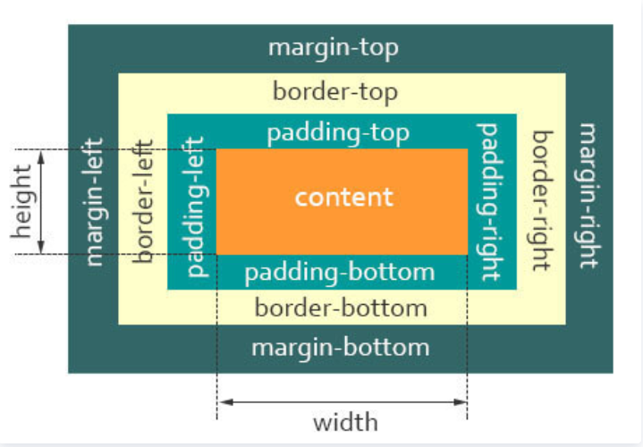 Box Model Normal